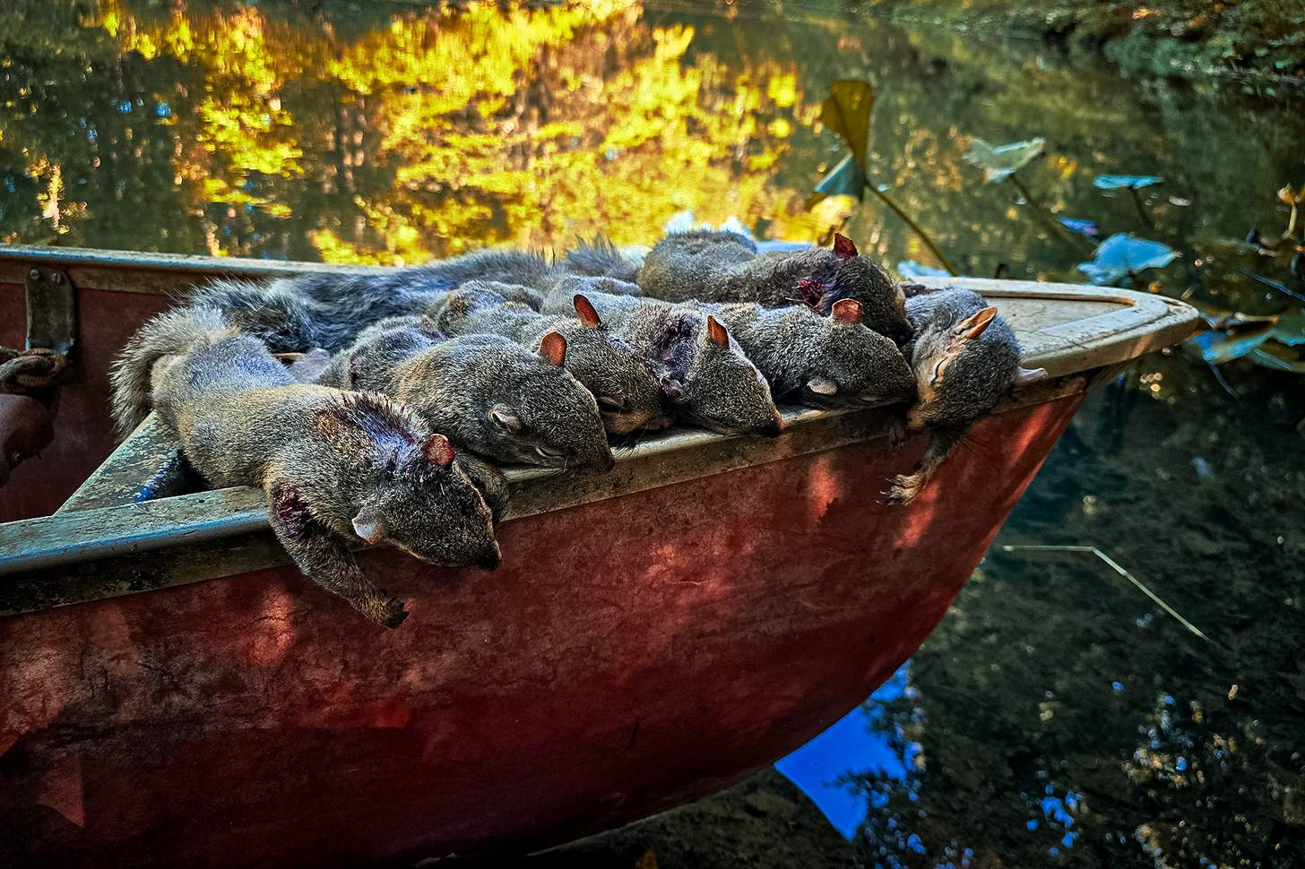 dead squirrels on the bow of a jon boat