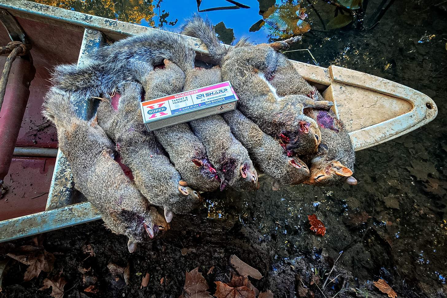 dead squirrels on the bow of a jon boat with a box of Winchester 21 Sharp ammo