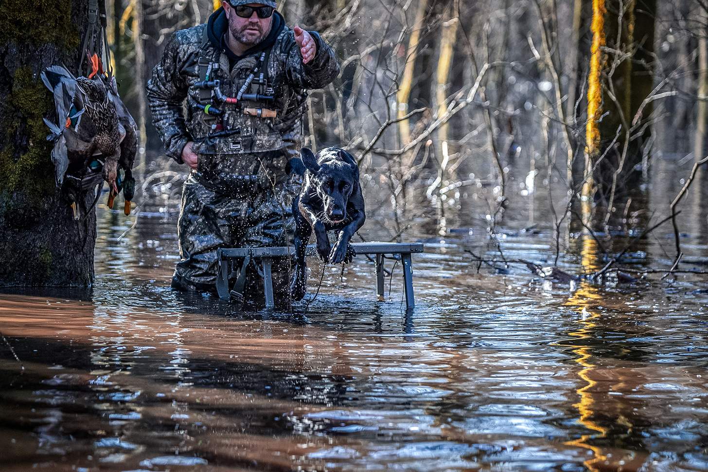 chad belding sending his dog Axl