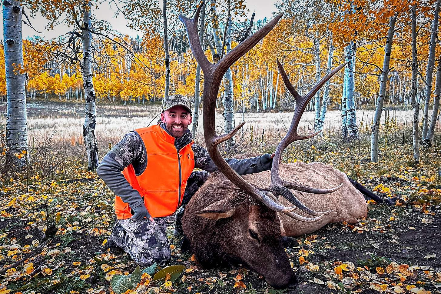 Riding Shotgun With No. 3 NASCAR Driver Austin Dillon