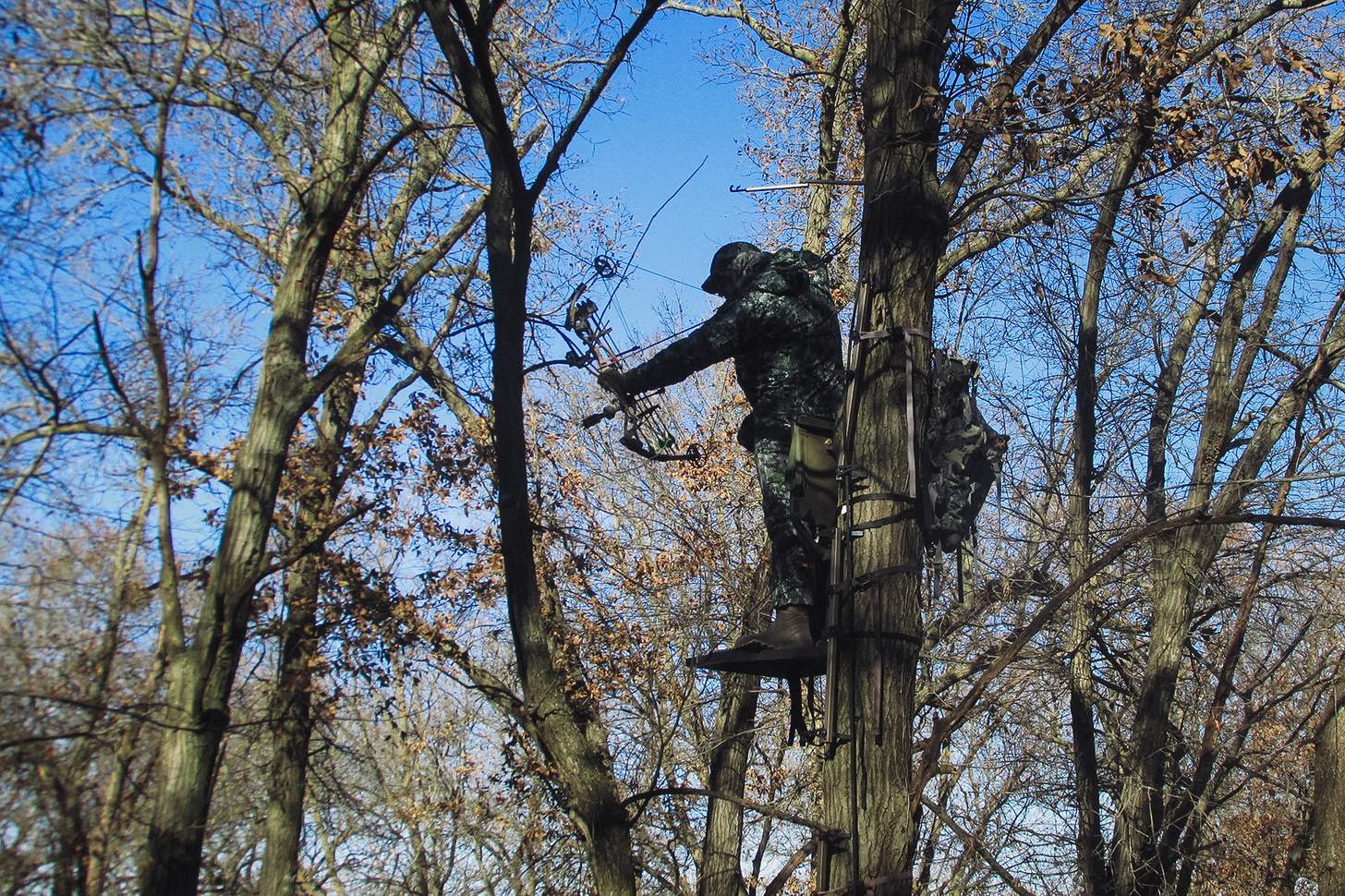 a bowhunter drawing his bow in a treestand