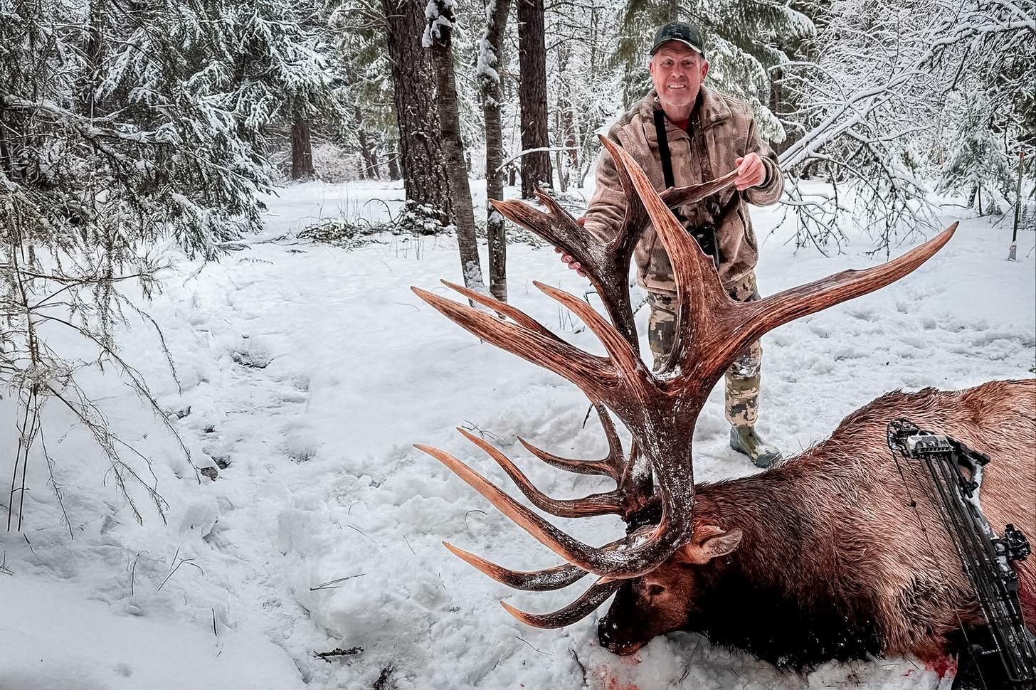 Washington Elk Is Officially the New P&Y Nontypical World Record Bull