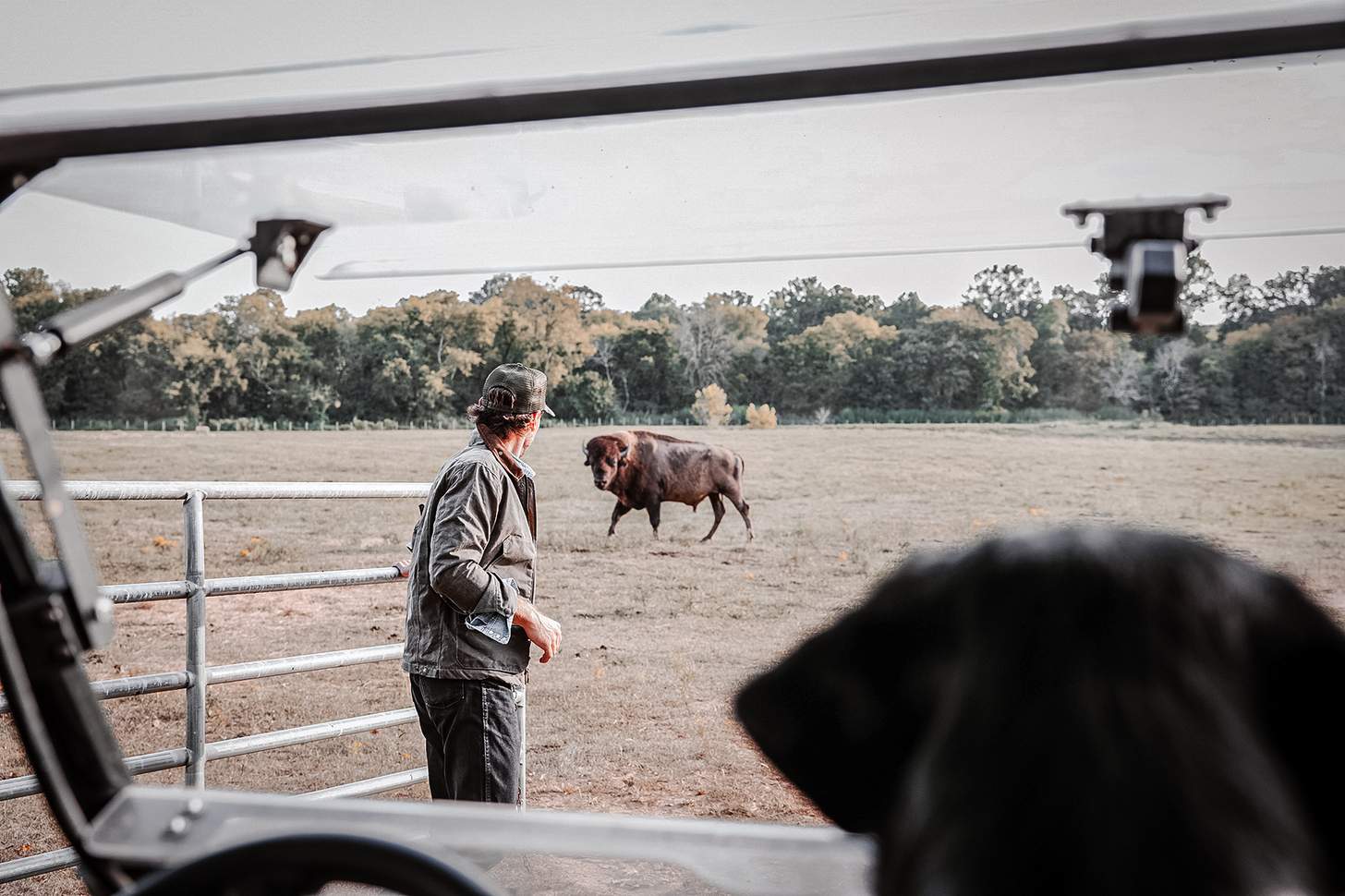 Chase Rice closing the gate on a bison