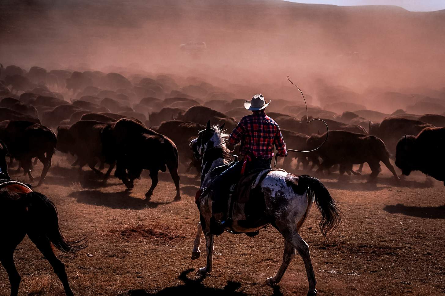 Annual Buffalo Roundup: South Dakota Is the West’s Best Kept Secret