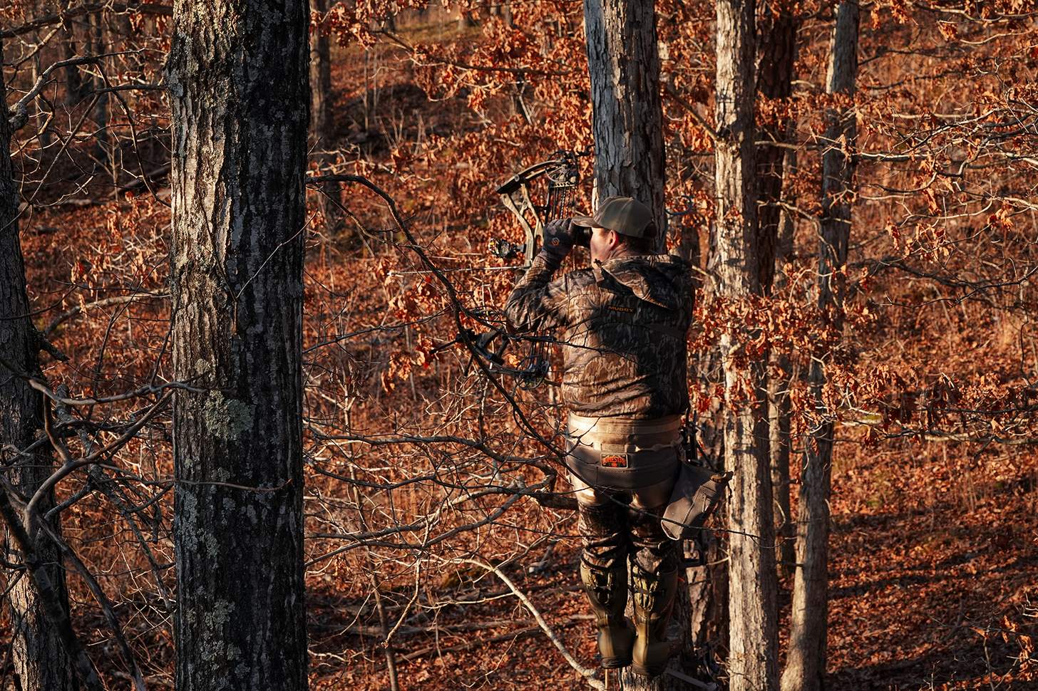 a bowhunter glassing