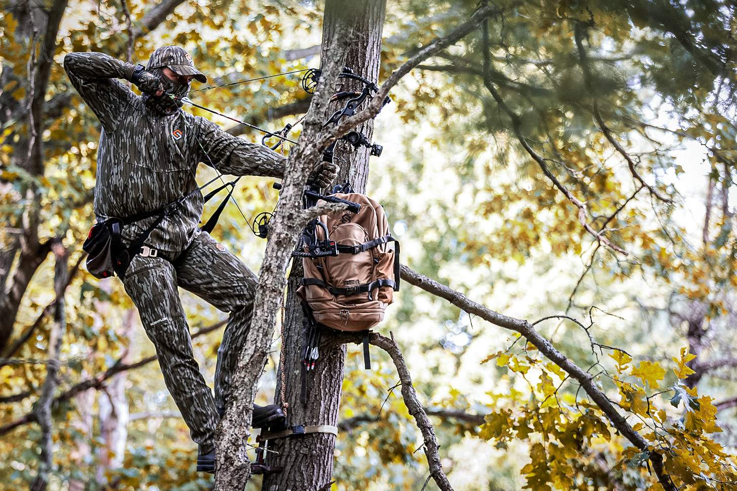 How To Start Using a Hunting Saddle 101: Guide to the Basics