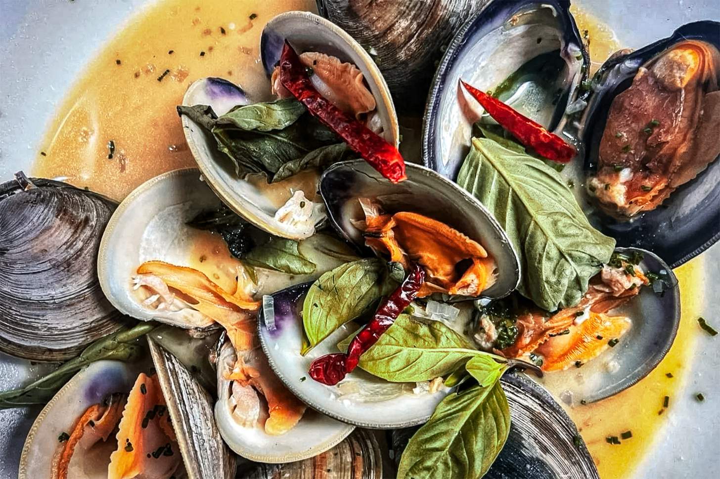 oysters at Skogen Kitchen