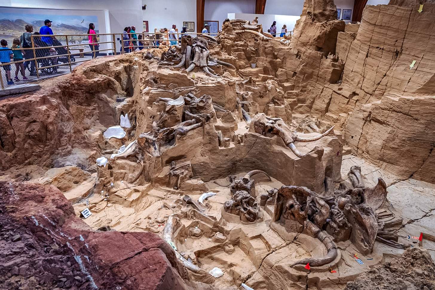 Mammoth Site in South Dakota