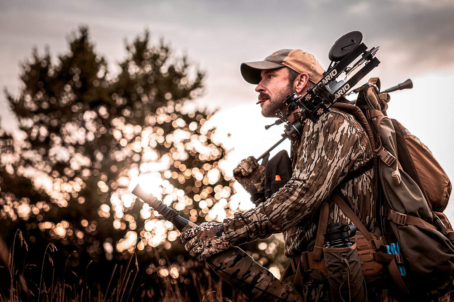 PSE Sicario Compound Bow bowhunting