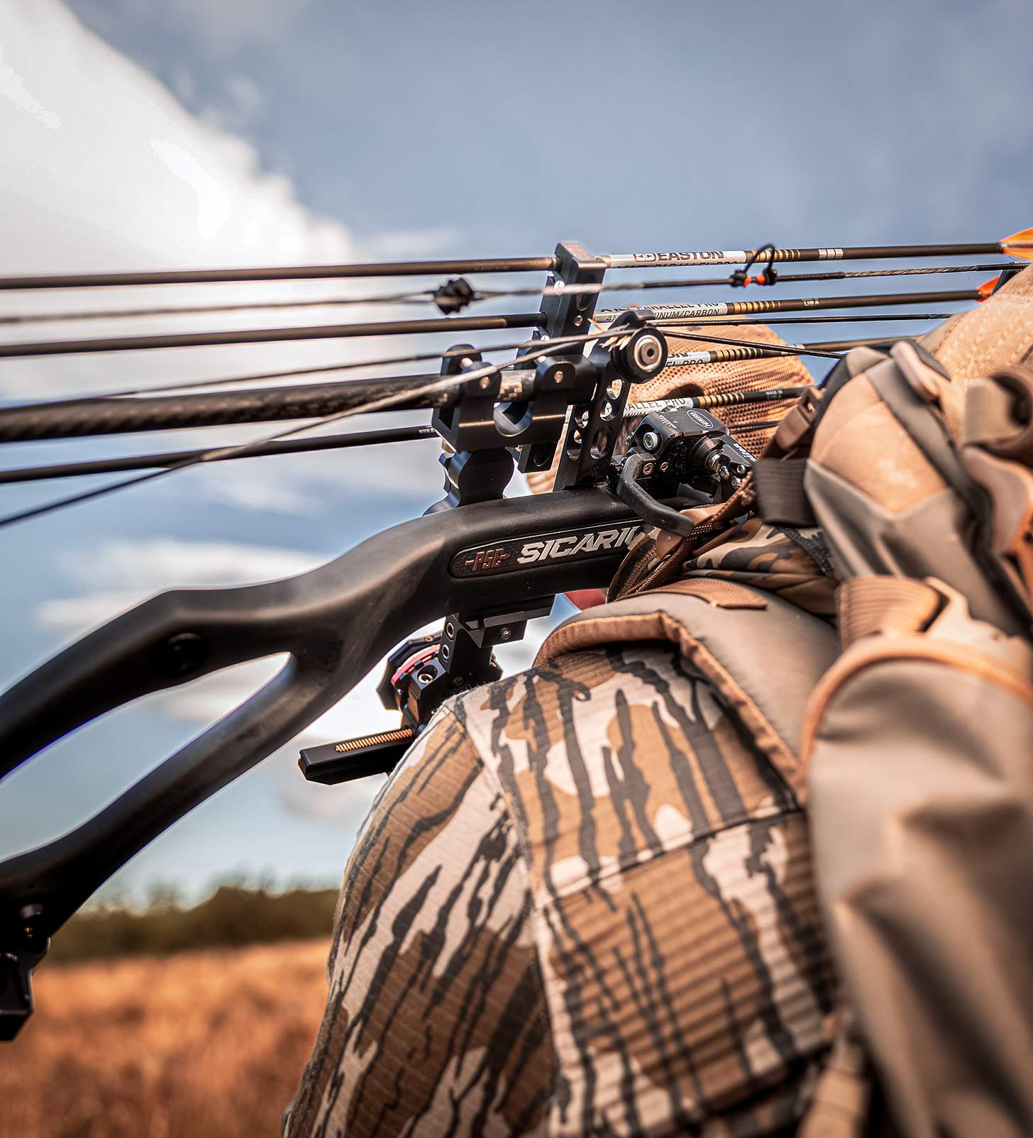 arrows on a hunting bow