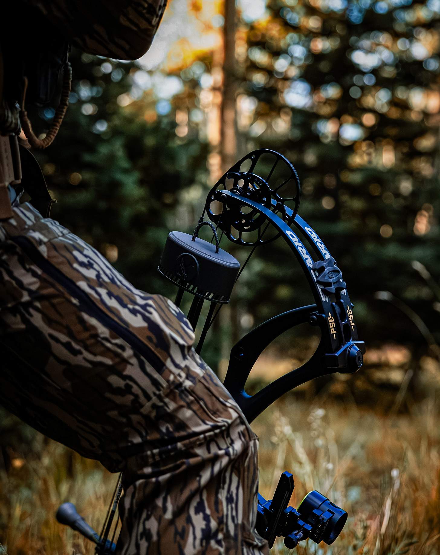 PSE Sicario Compound Bow bowhunting