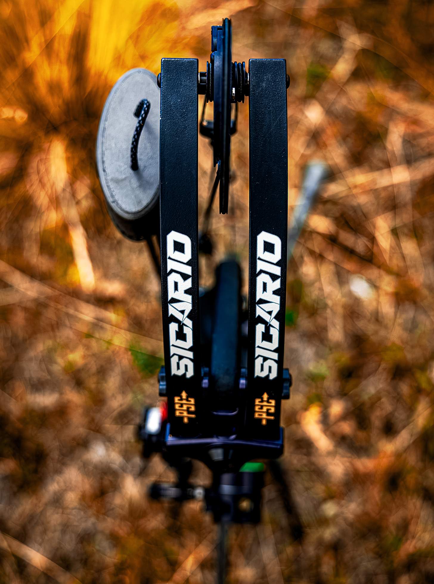 PSE Sicario Compound Bow bowhunting