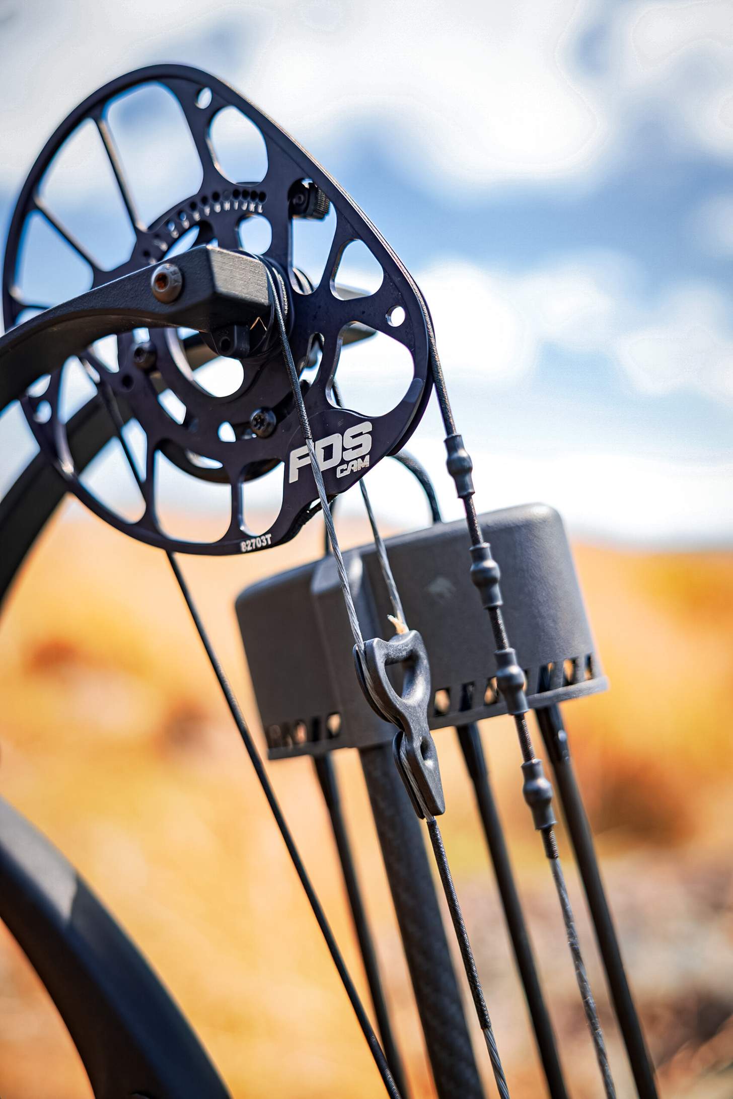 PSE Sicario Compound Bow bowhunting
