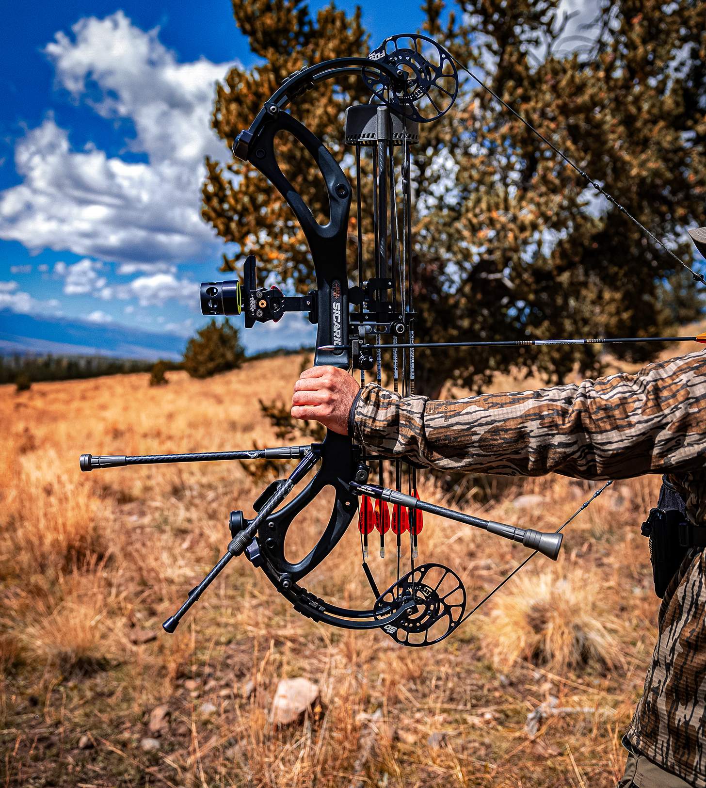 PSE Sicario Compound Bow bowhunting