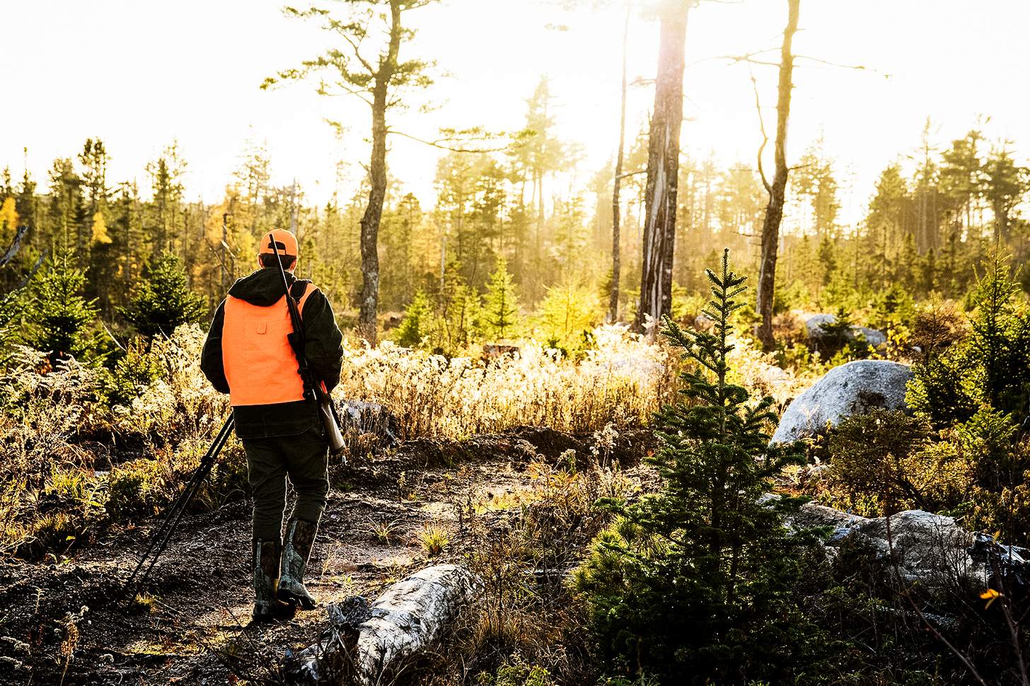 how to hunt quietly and move like a deer