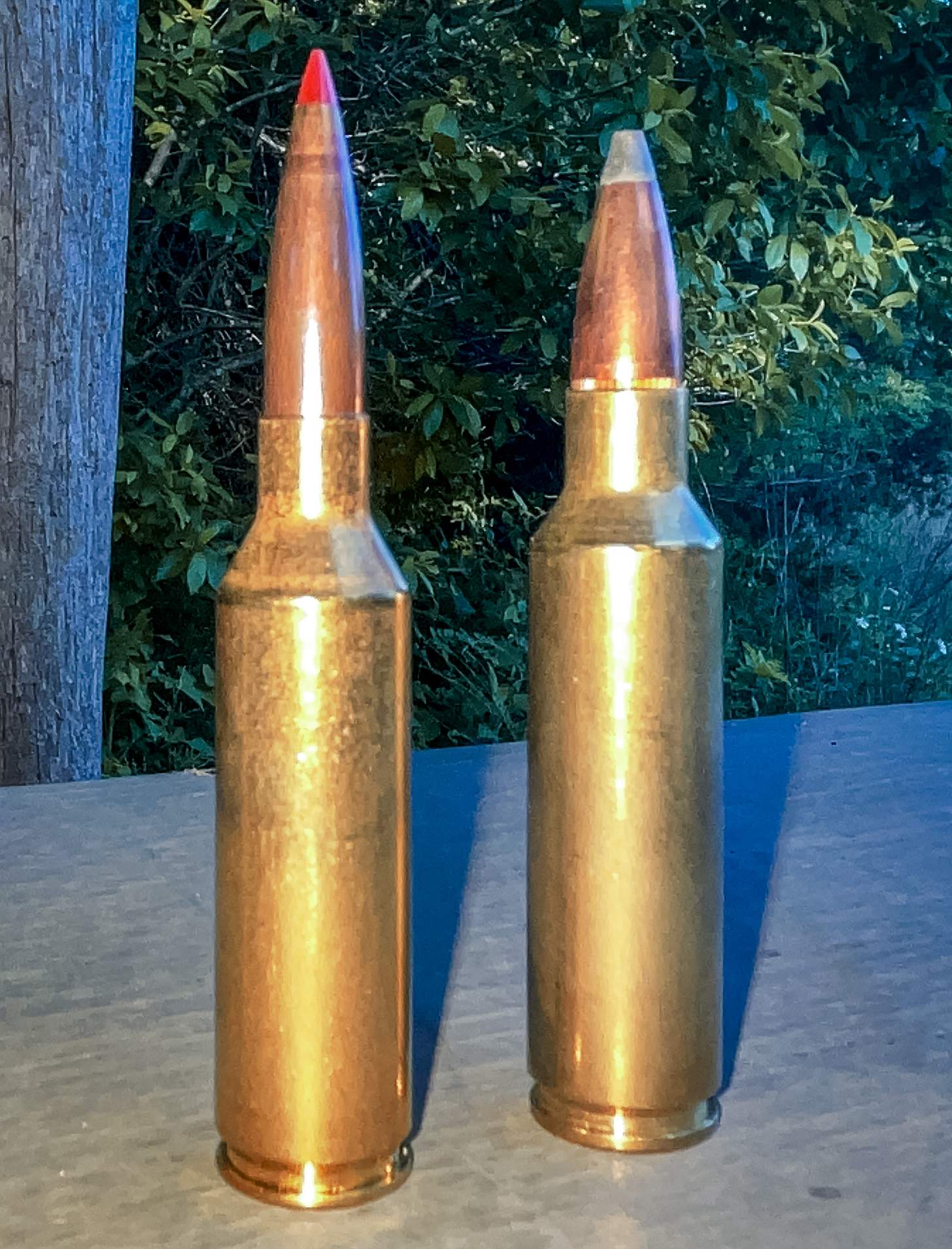 a 6.5 PRC cartridge and a .300 WSM cartridge