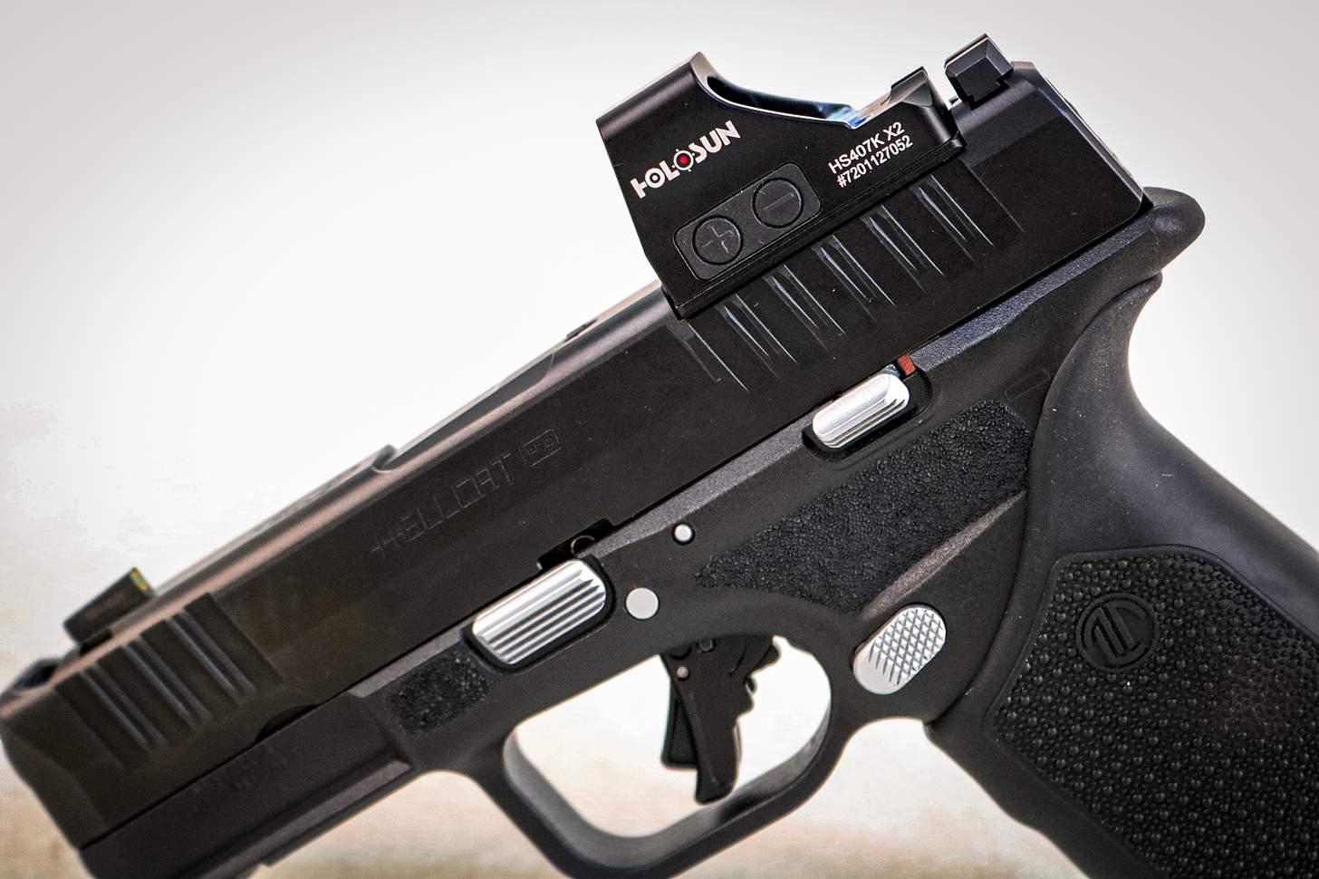 controls and holosun red dot