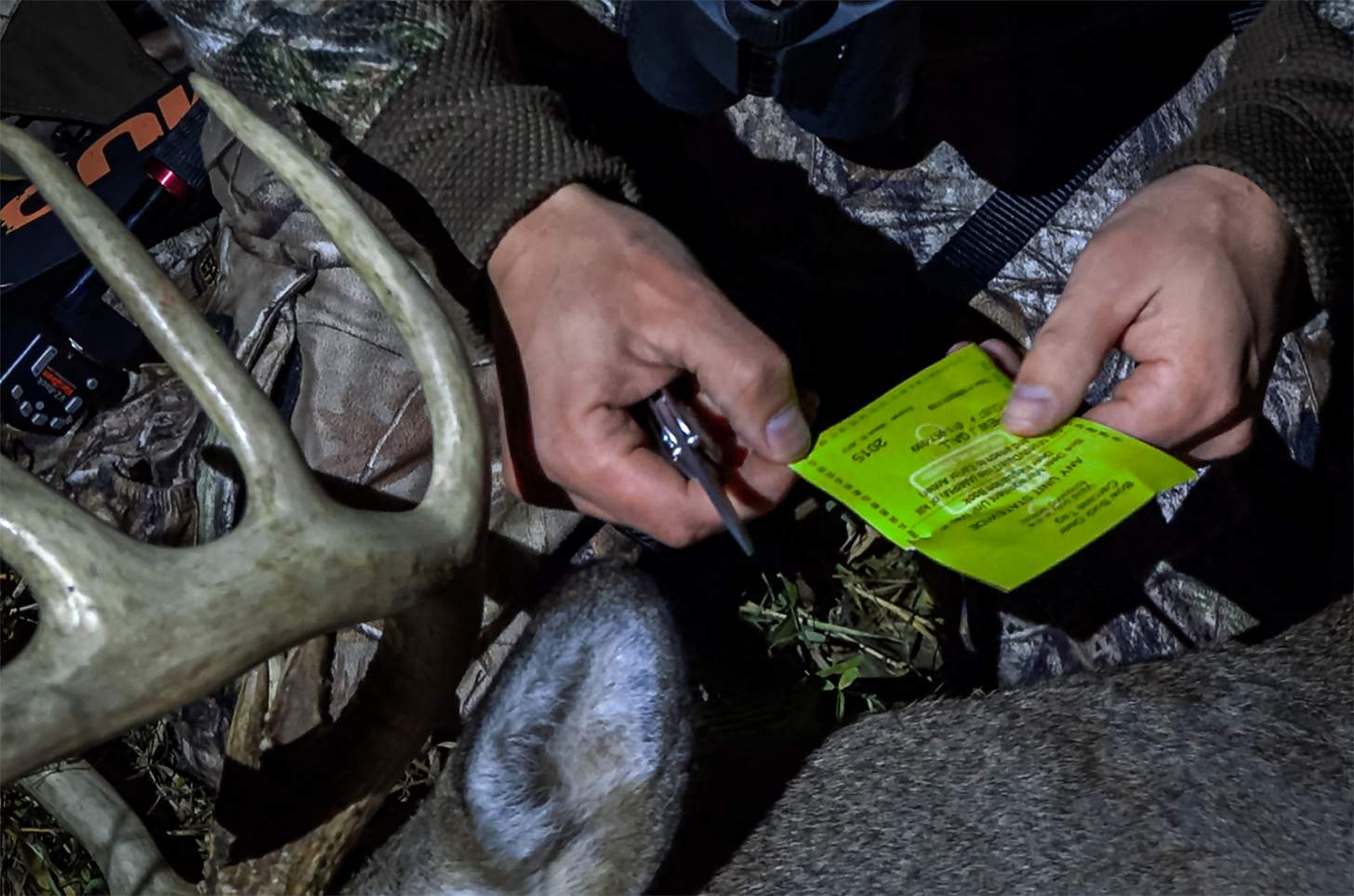 hunter punching a deer tag