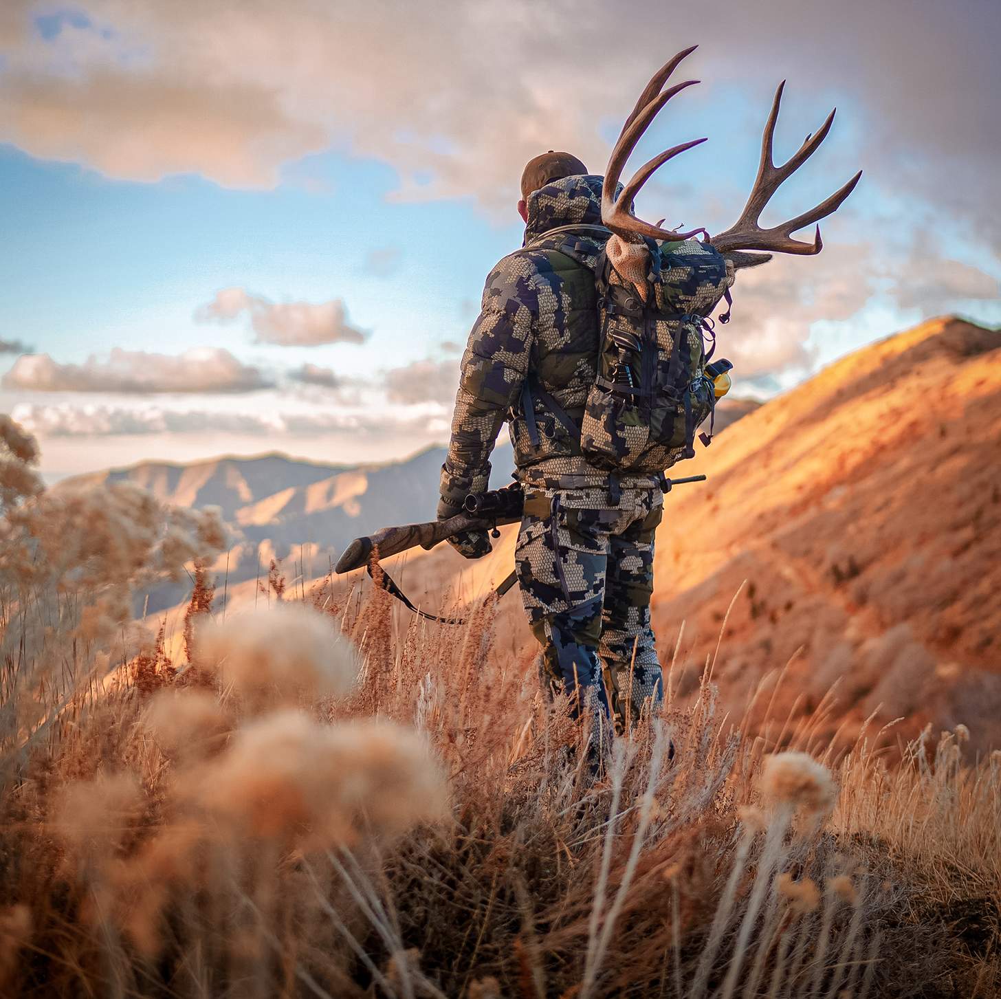 Chad Mendes packing out a muley