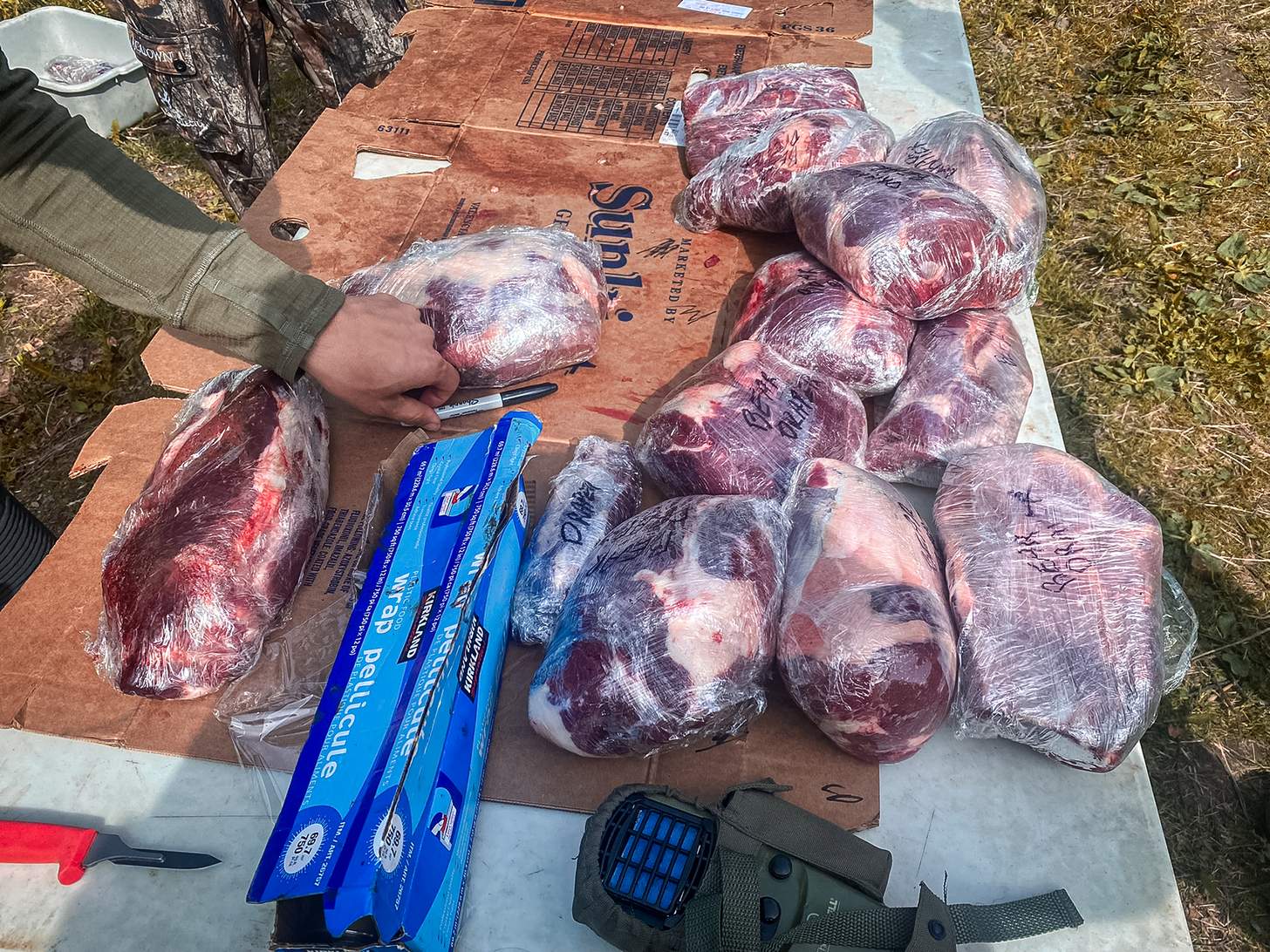 bear loins wrapped for the freezer