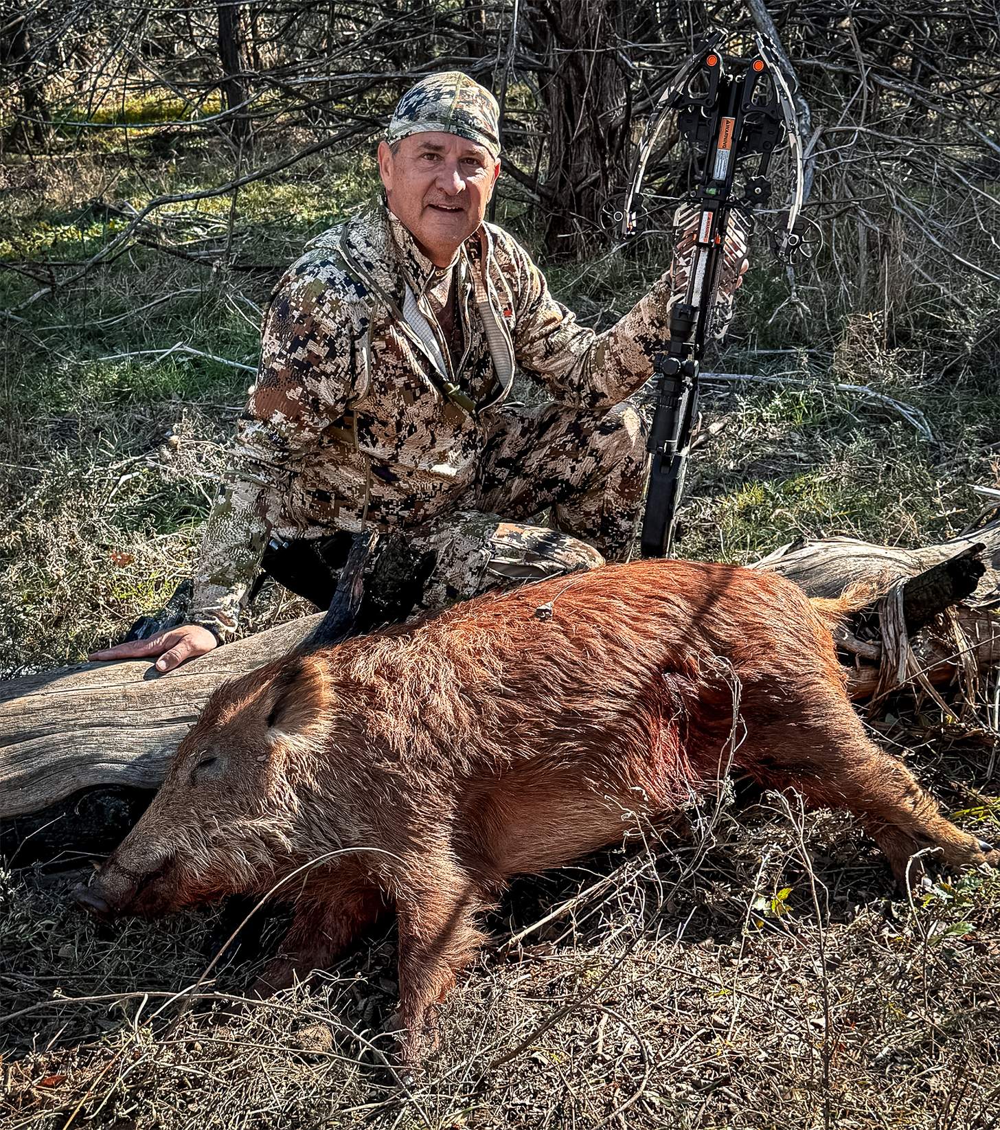 Ravin LR crossbow boar hunt