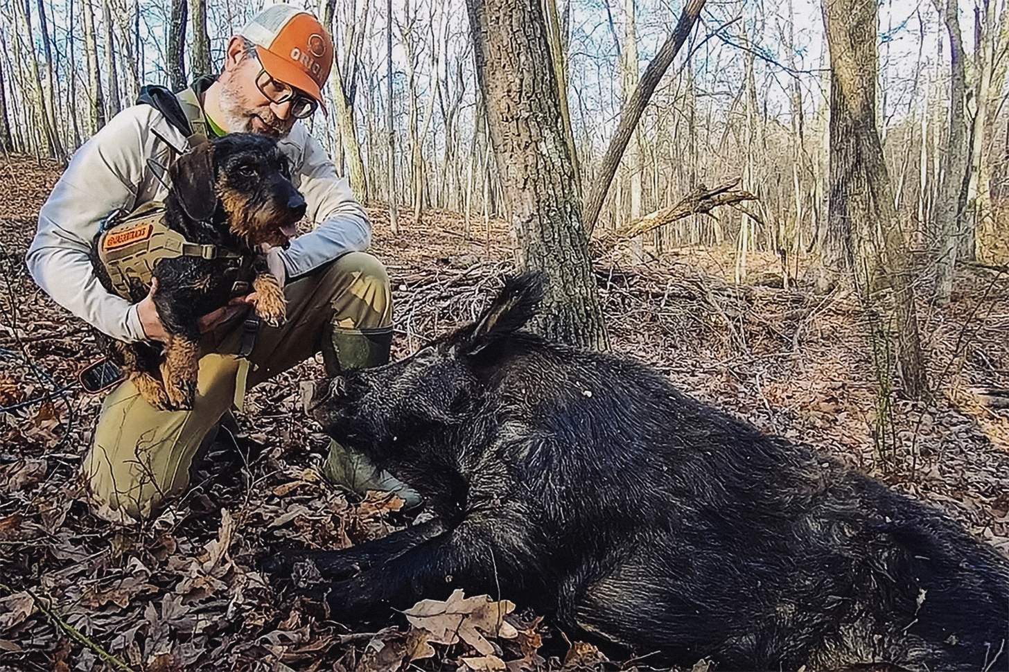 jaeger the deer tracking dog with a downed boar