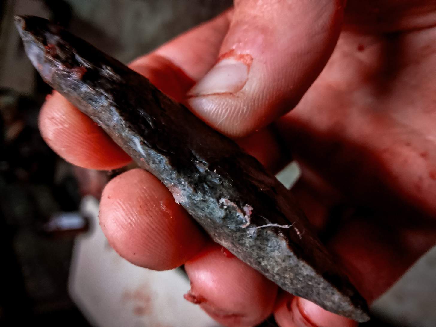 edge of a flint blade with organic material