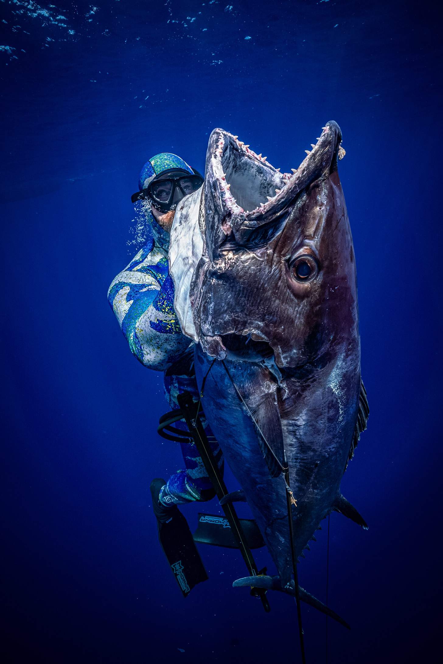 Zac Brown spearfishing with dog tooth tuna