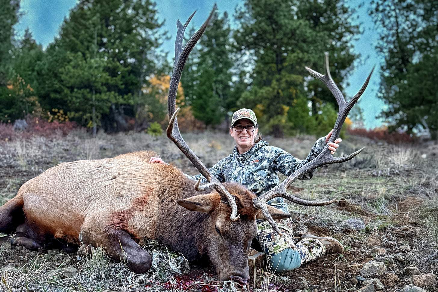 Alive Webb with bull elk