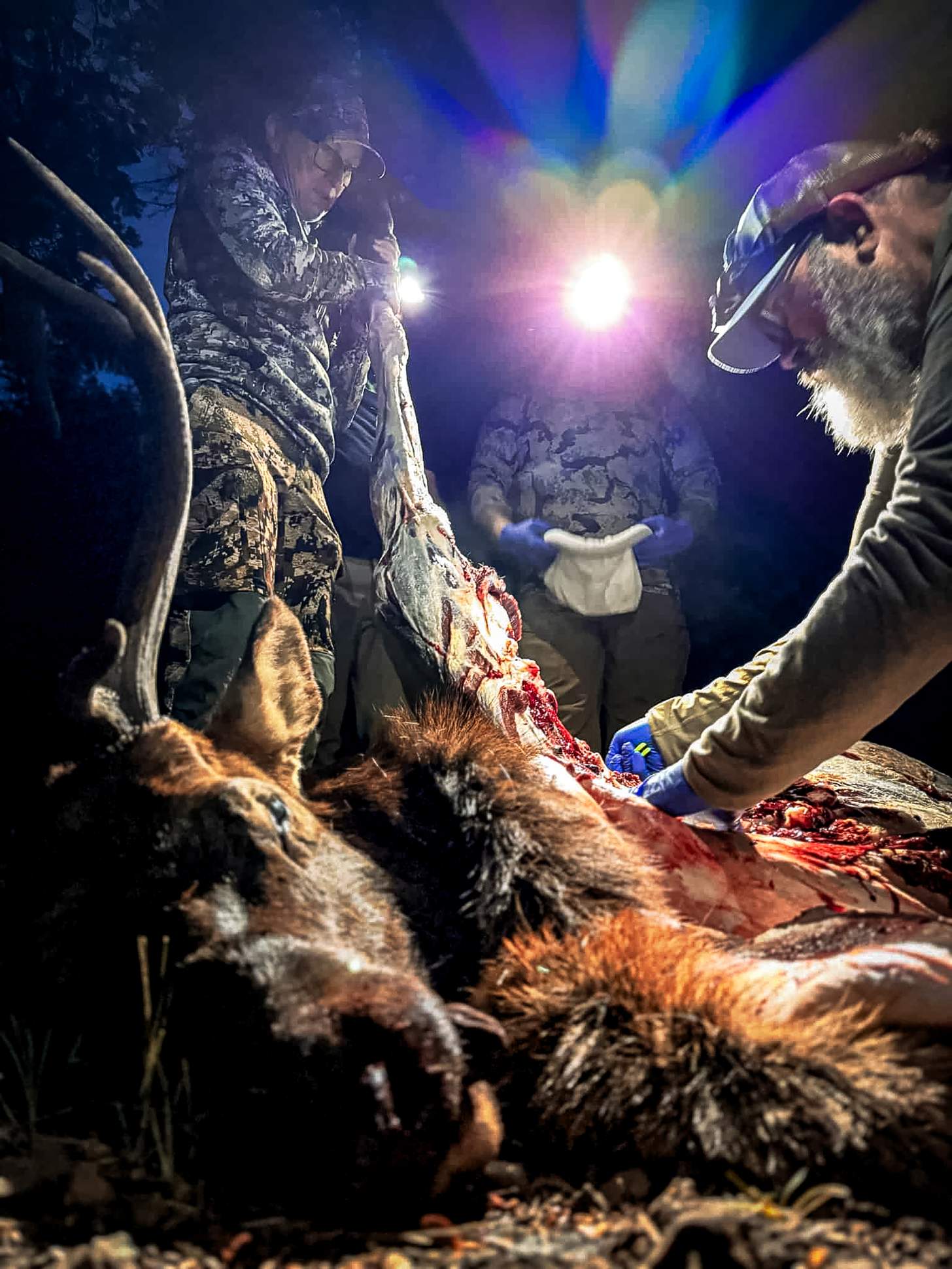 breaking down the elk in the field