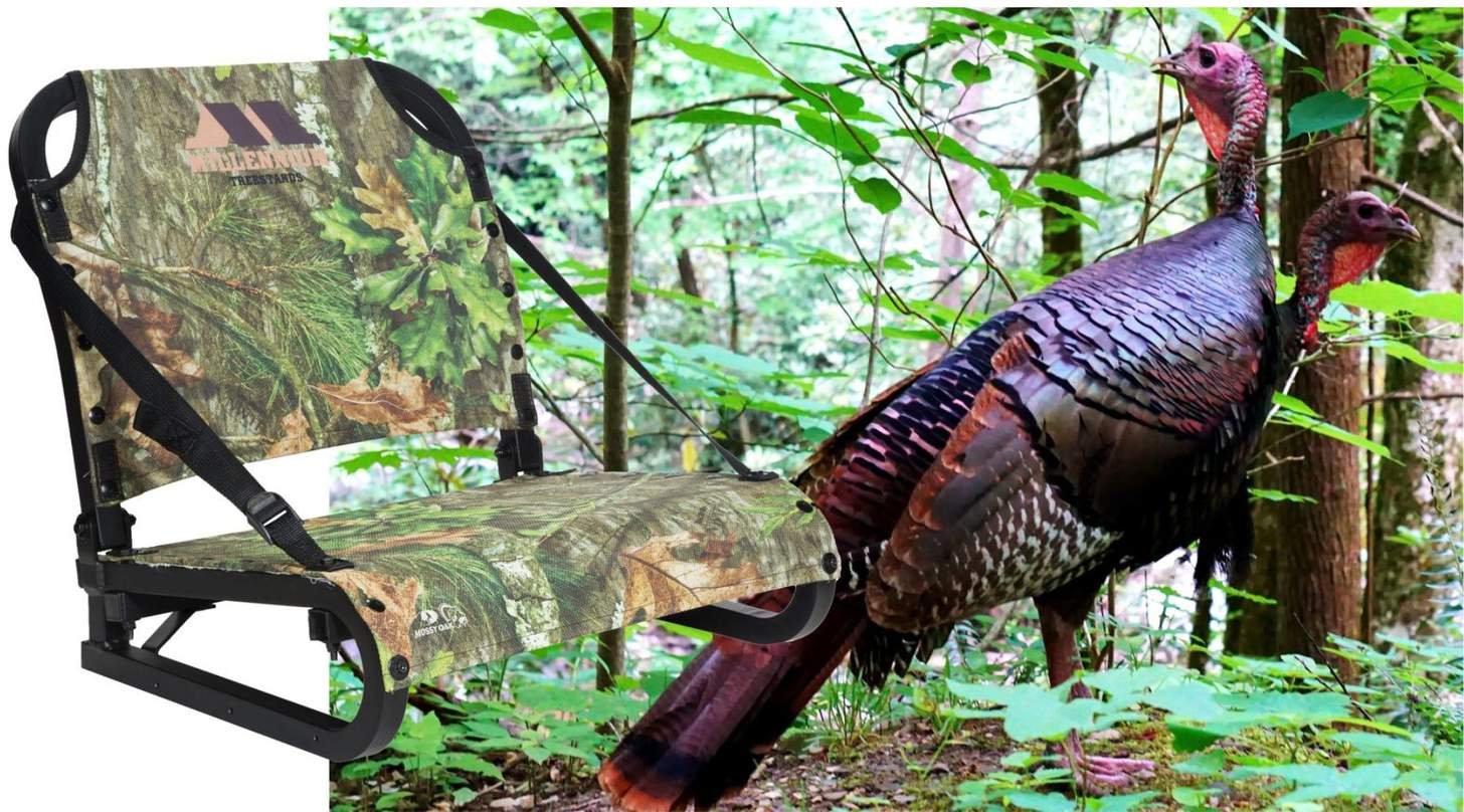A turkey hunting seat next to two gobblers in the woods