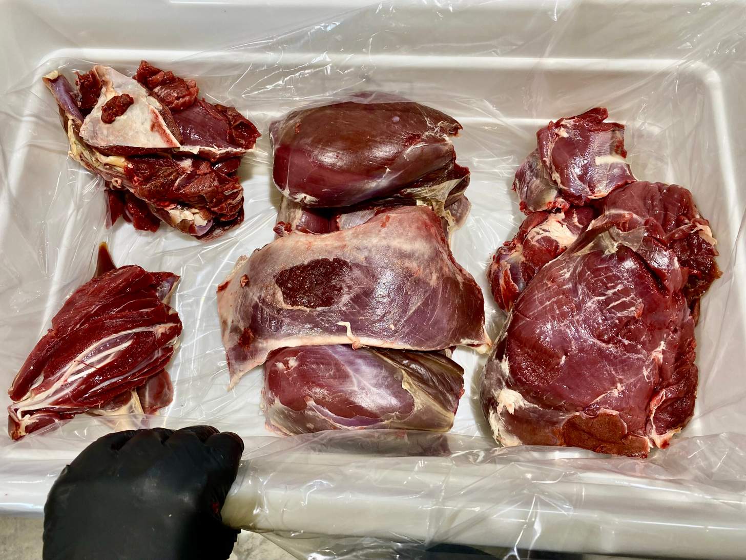 Several cuts of meat laid out on plastic.