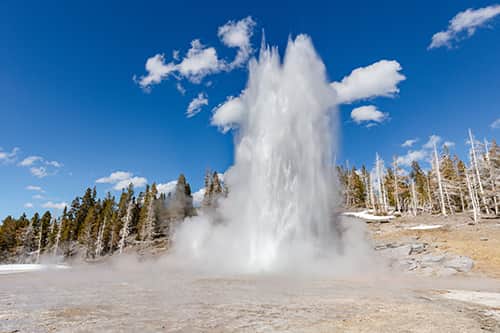 Yellowstone national park geyser