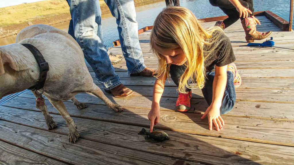 Bluegill fishing - The Trill of the Gill pic 5