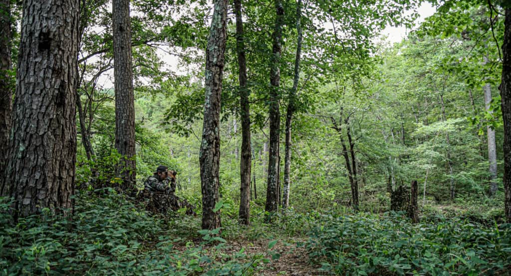 Pnuma’s Caza Camouflage