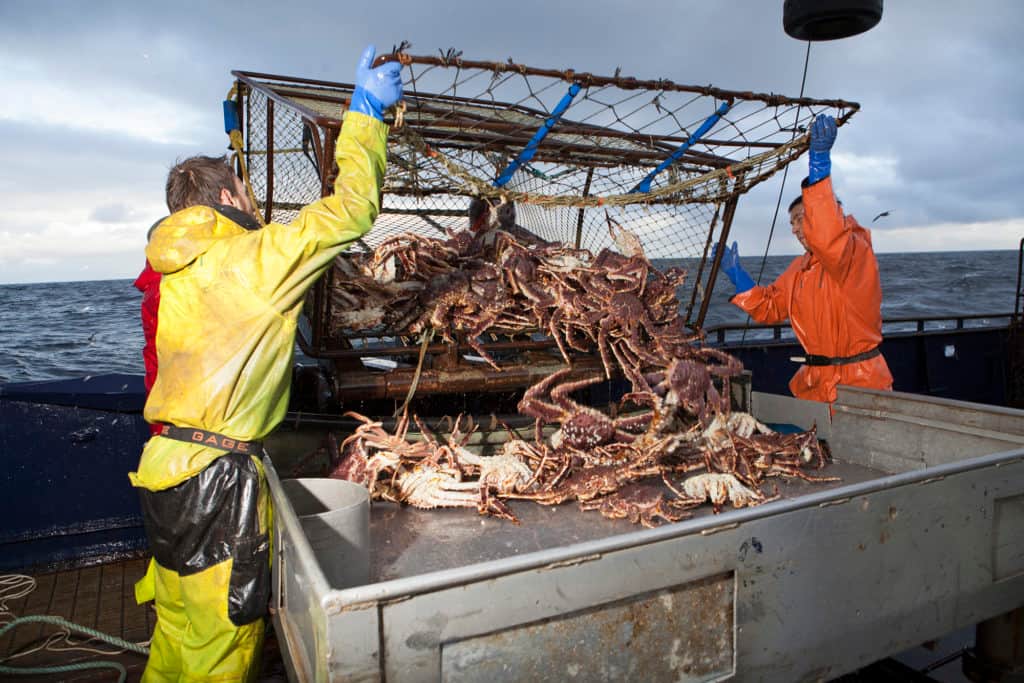 Deadliest Catch Wild Bill Discovery pic4