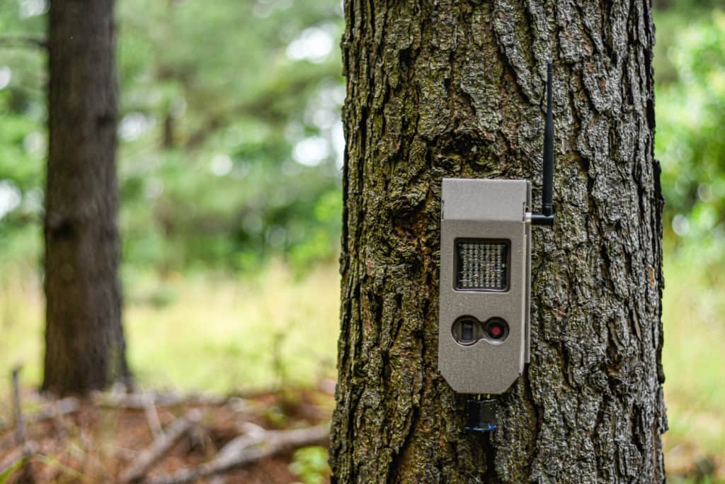 A Cellular Game Cam That Works