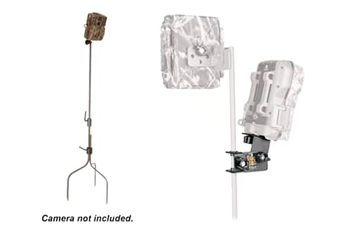 Keeping An Eye Out On The Trail