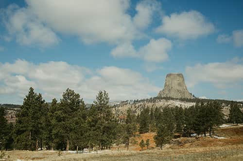 Muscadine Bloodline: Grassroots
