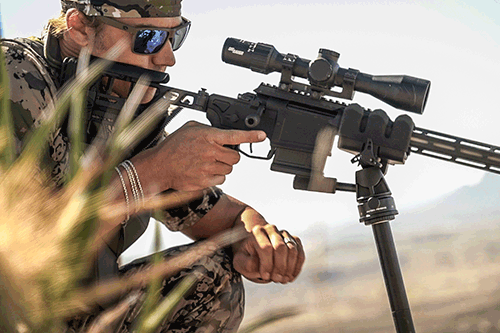 Free Range Aoudad Hunting