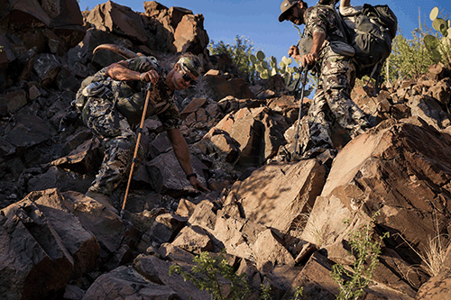 Free Range Aoudad Hunting