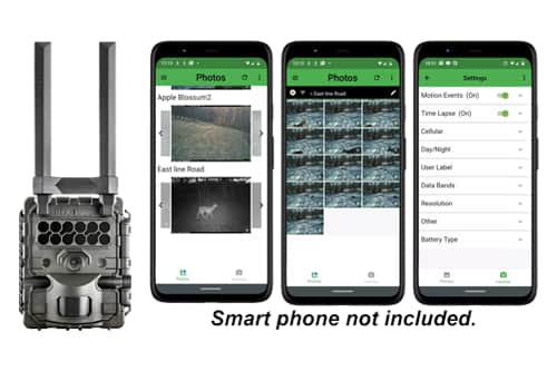 Keeping An Eye Out On The Trail