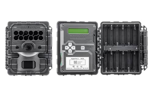 Keeping An Eye Out On The Trail