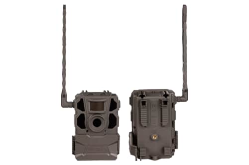 Keeping An Eye Out On The Trail