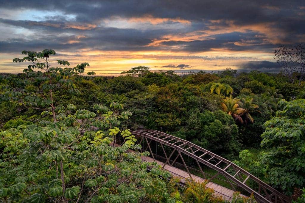 Crocodile Bay and Botánika