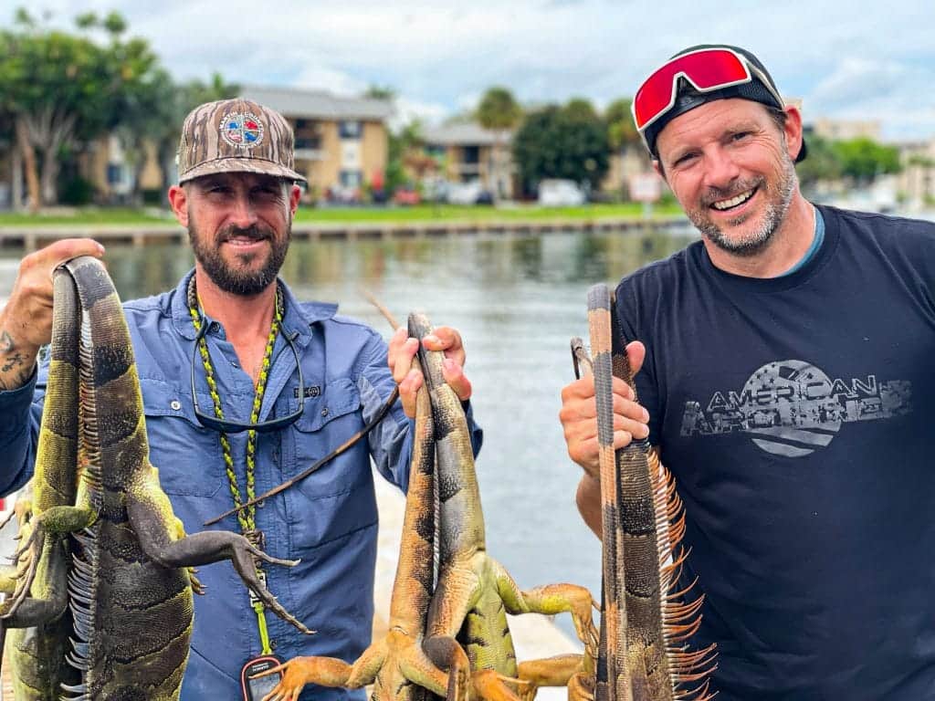 Python Cowboy Hunting Iguanas