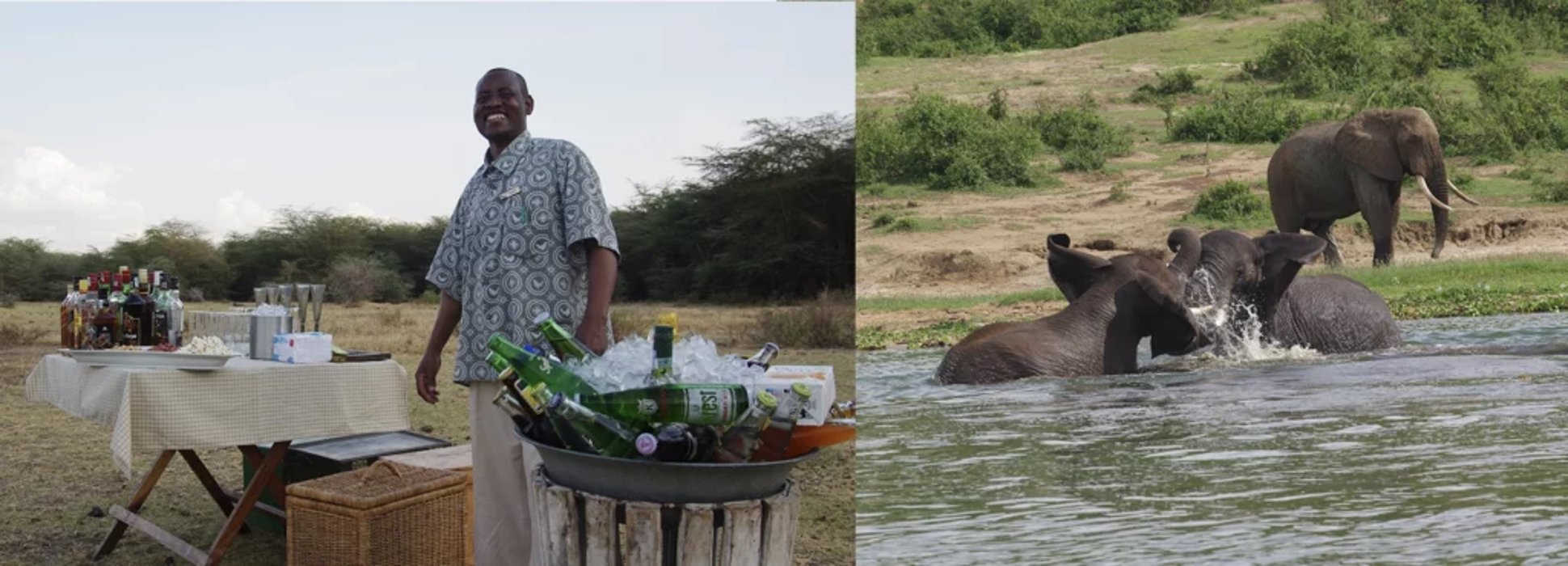 african safari