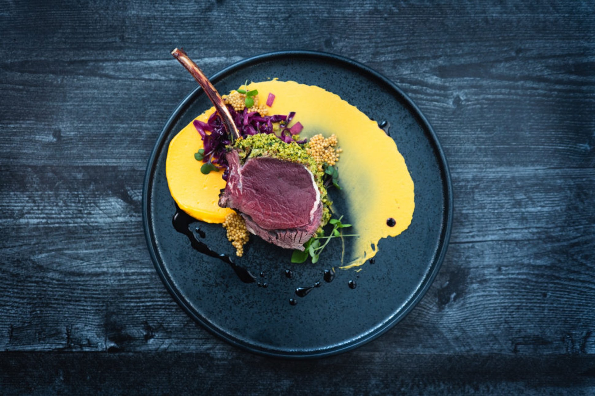 Wilderness to Table - Venison Recipes
