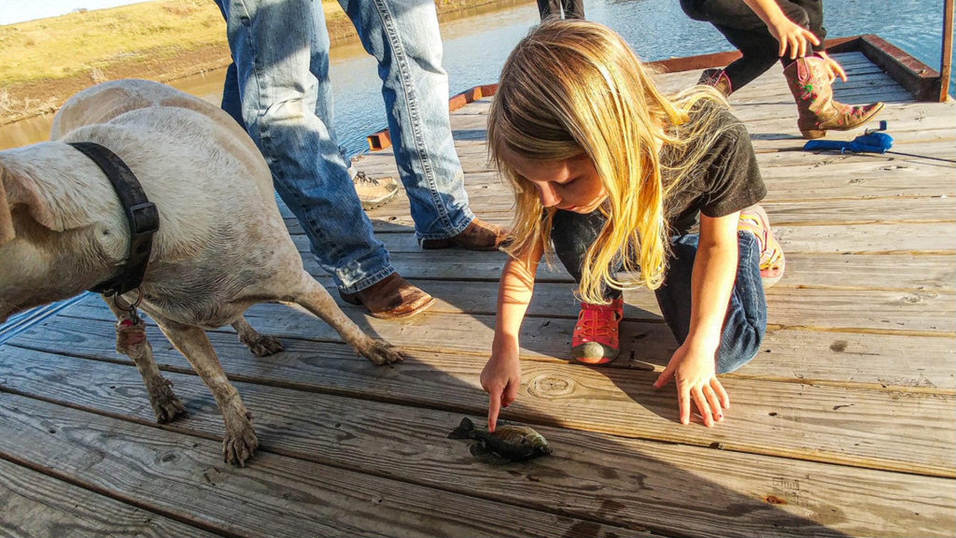Bluegill fishing - The Trill of the Gill pic 5