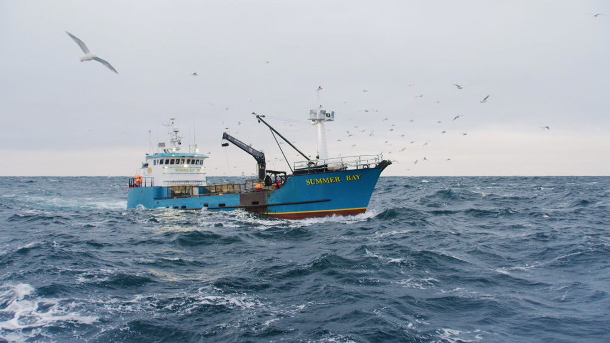 Deadliest Catch Wild Bill Discovery pic1